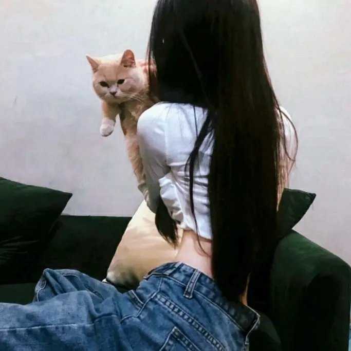 抢救德梅洛