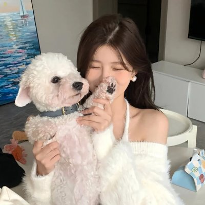 征服